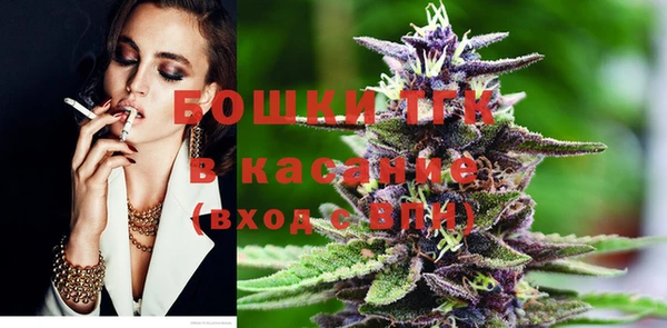 mix Богородицк